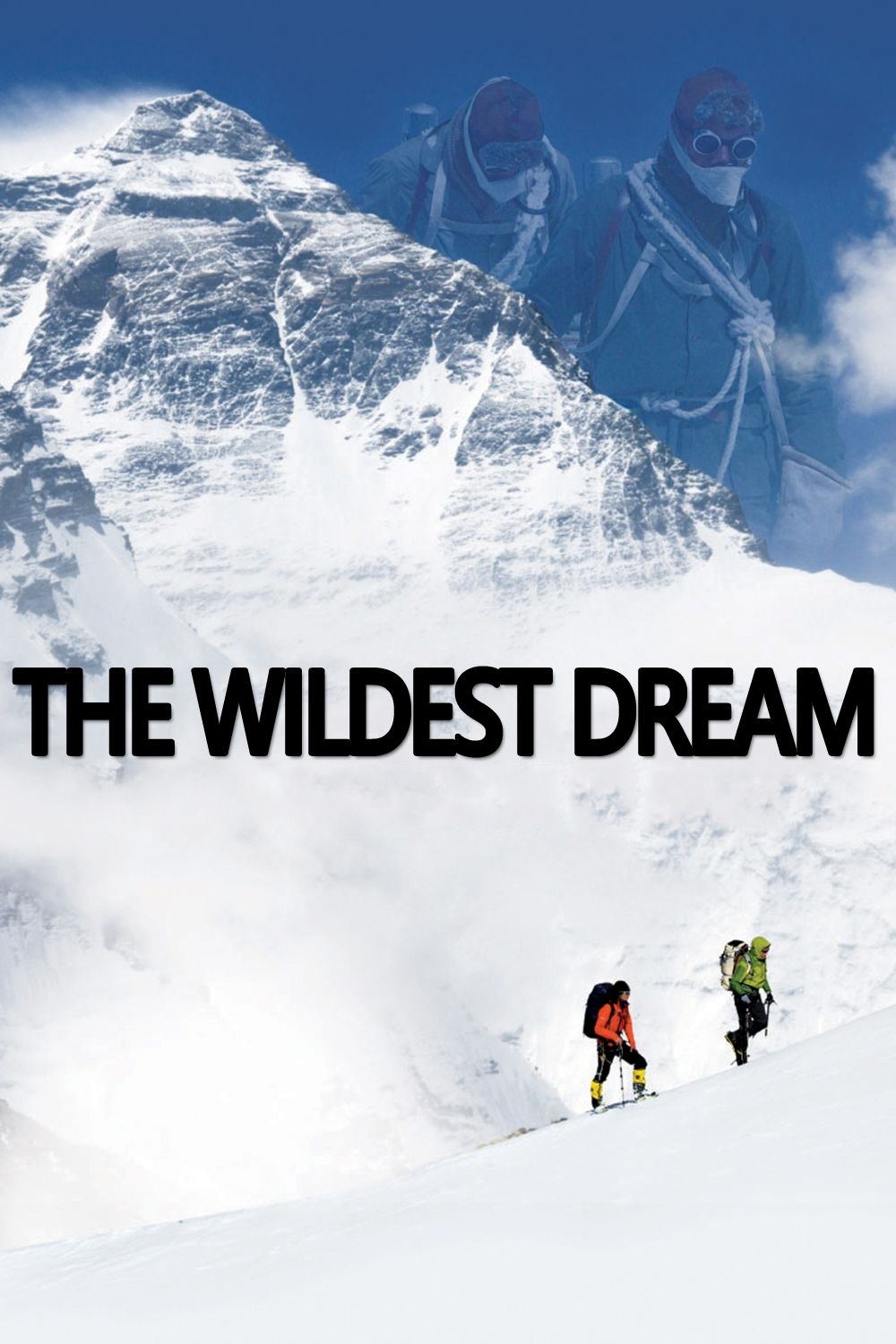 Постер The Wildest Dream